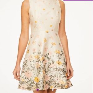 LOFT Outlet Sweet Dress | Milky Tan Villa Border Sleeveless Fit & Flare